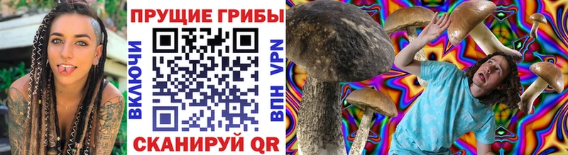 Купить закладки  Краснотурьинск  Псилоцибиновые грибы Psilocybine cubensis 